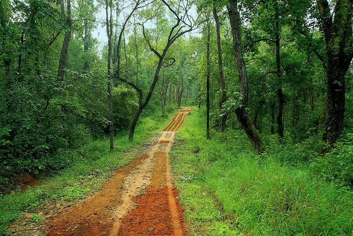 Kanha Museum - Kanha